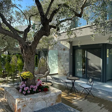 别墅 Danielli Luxury Skala Rachoni (Thasos)