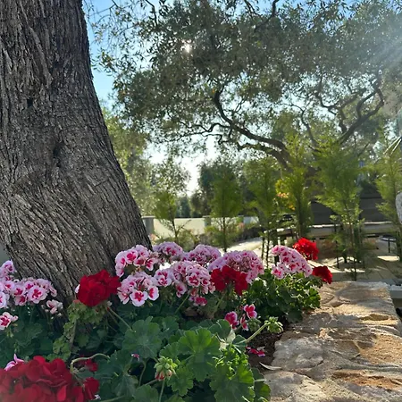 Danielli Luxury Villa