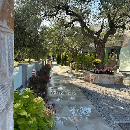 别墅 Danielli Luxury