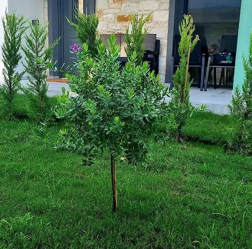 Villa Danielli Luxury Skala Rachoni (Thasos)