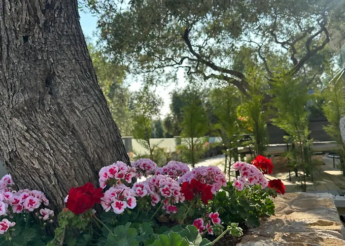 Danielli Luxury Villa